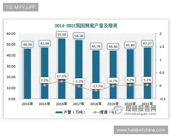 深入分析太阳娱乐mcn在网络游戏行业中的优势与未来发展趋势